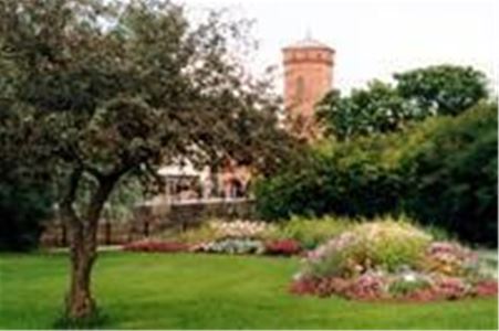 A three in the foreground, a park with nice plantings, a fire towerbackground. in the 