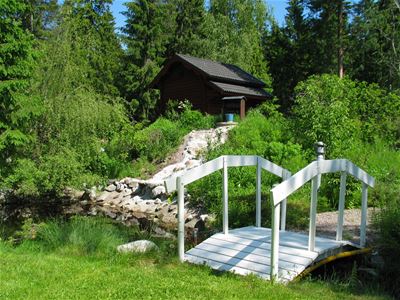 Exterior image of the garden. White wooden bridge.