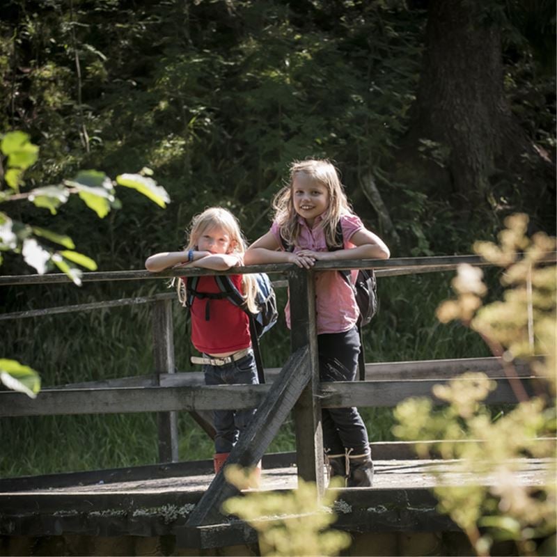 Två flickor på en träbro.