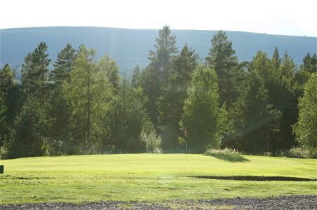 Golfbanan med träddunge i bakgrunden. 