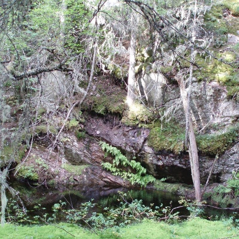 Rocks in forest.
