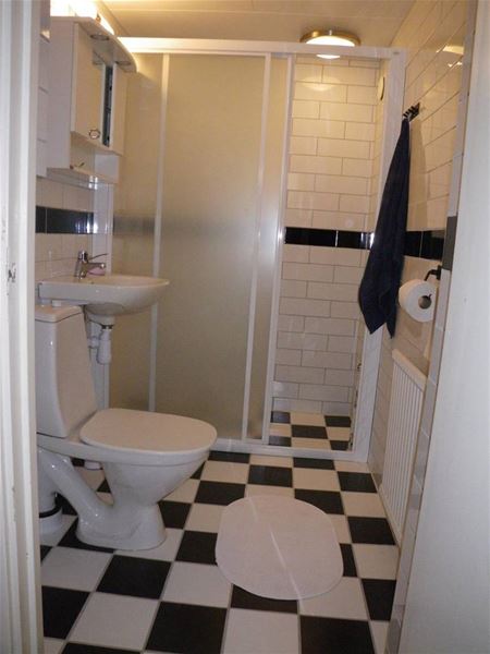 Toilet and shower 