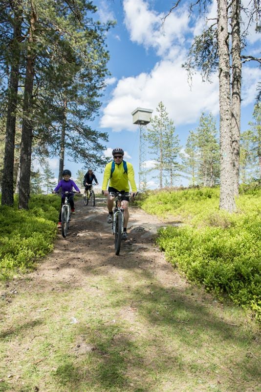 Two adults and a child cycle down a wide forest path.