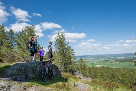 Two adults and two children stand on a small cliff and look at the view, next to it is a bicycle.
