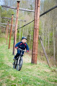 En pojke som cyklar på en skogsstig, längs stigen är det flera höga trästolpar.