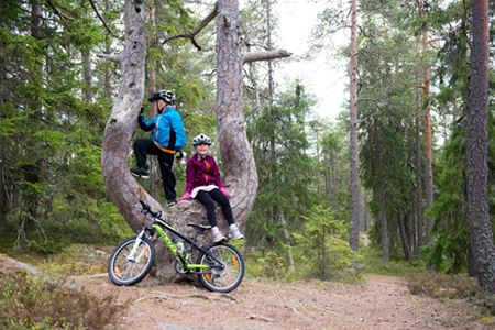 Två barn med cykelhjälmar sitter och står på ett träd, trädet har delat sig så det har två stammar.