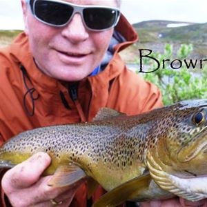 River fishing / Salmon fishing - Nordic Safari