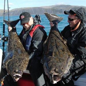 Deep sea fishing - Nordic Safari
