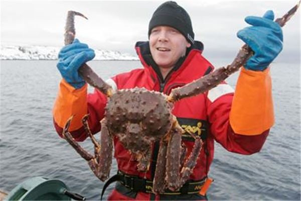King crab fishing in winter and summer time- Nordic Safari 