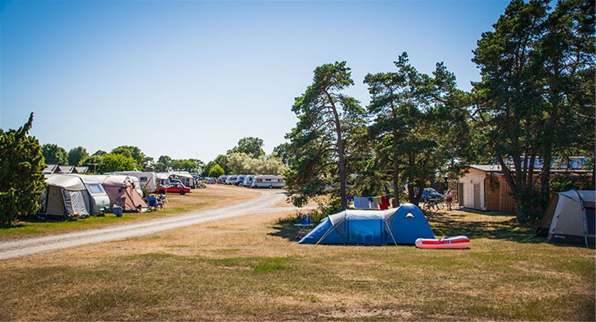 Campingpitch caravan/motorhome with seaview image 1