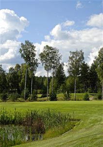 En damm med mycket växtlighet, en golfgreen, träd i bakgrunden.