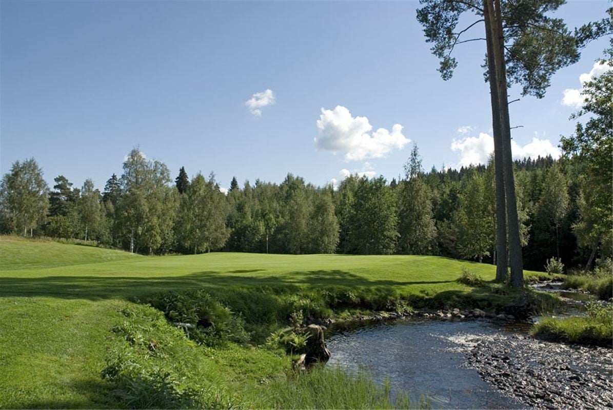 Vatten, en golfgreen, träd i bakgrunden.