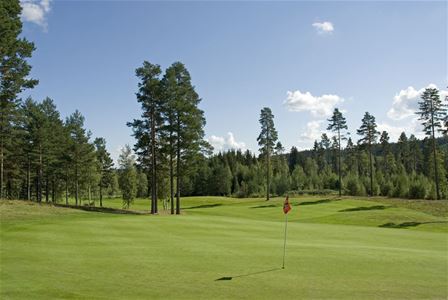 En golfgreen, en flagga, träd i bakgrunden.