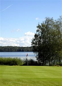 Golf green, flag, tree, lake.