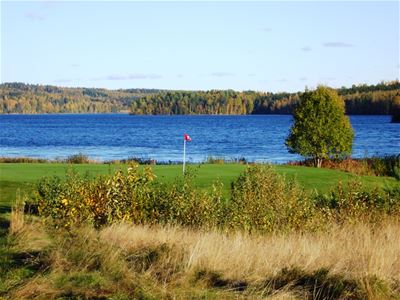 Växtlighet i förgrunden, man kan skymta en golfgreen med en flagga, en sjö i bakgrunden.