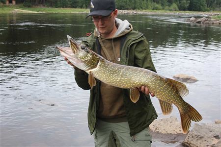 fisherman holding apike.