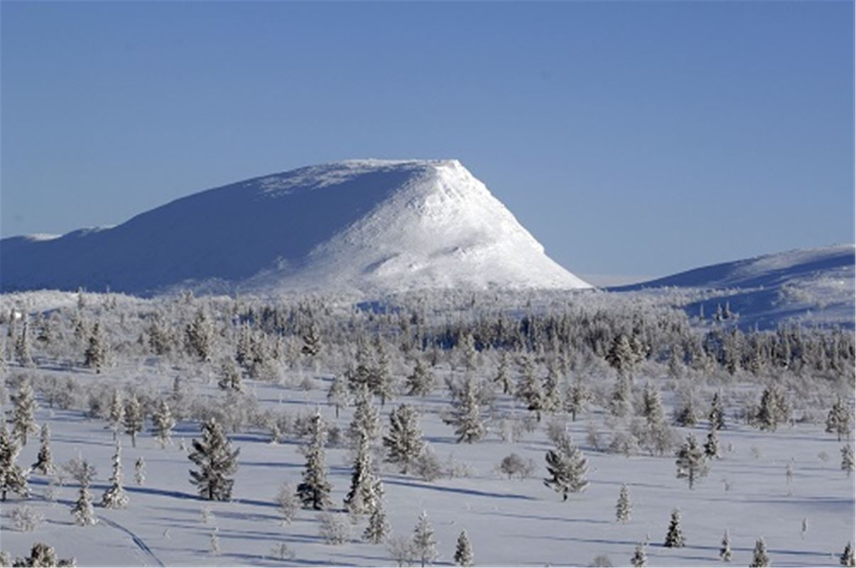 Snow coverd mountain durinh winter