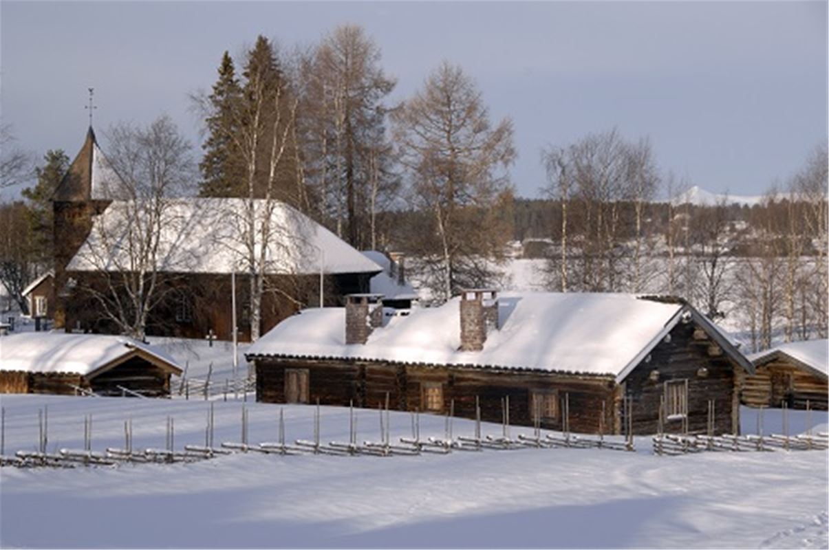 Timrade hus i vinterskrud