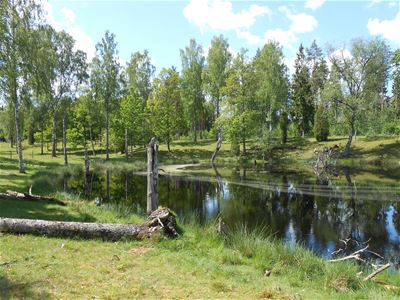 Korrö nature reserve