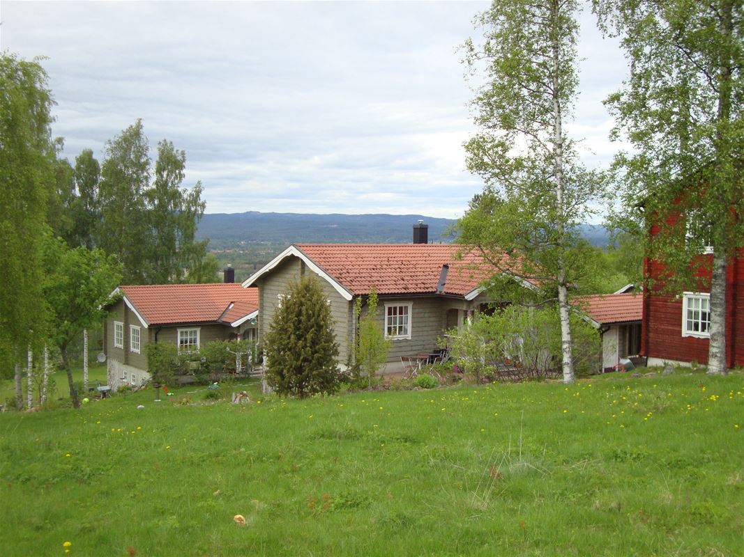 Three timbercottages with a lawn in front. 