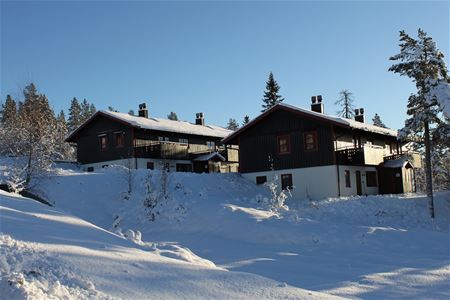 Exterior of cottages at Idre Fjäll.