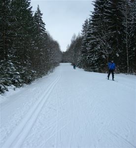 Person cross-country skiing.