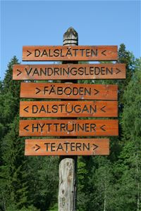 A wooden sign with arrows to various places to visit in the park.