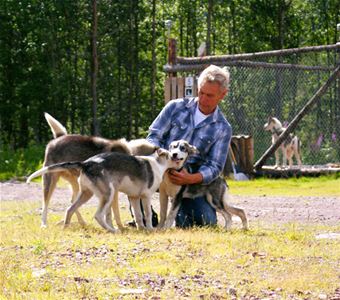 A man petting some dogs.