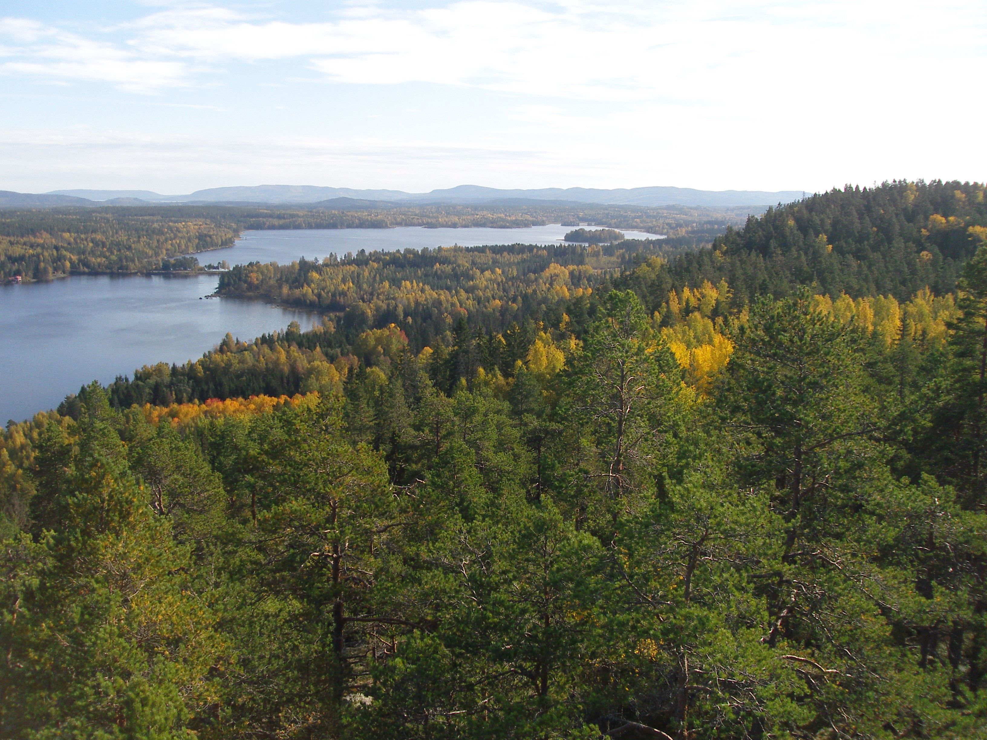 The nature reserve of Tjuvberget