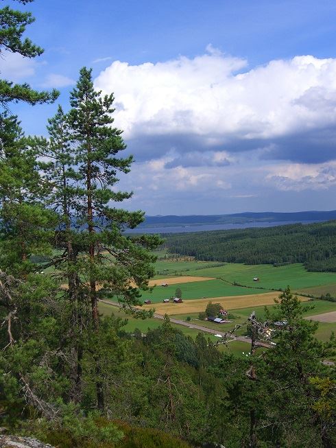 Kölbergets naturreservat