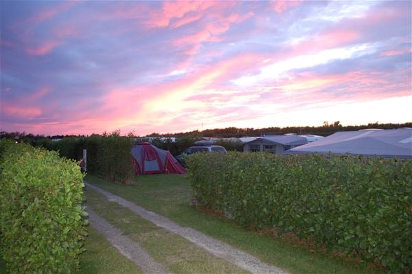 Rødgaard Camping 