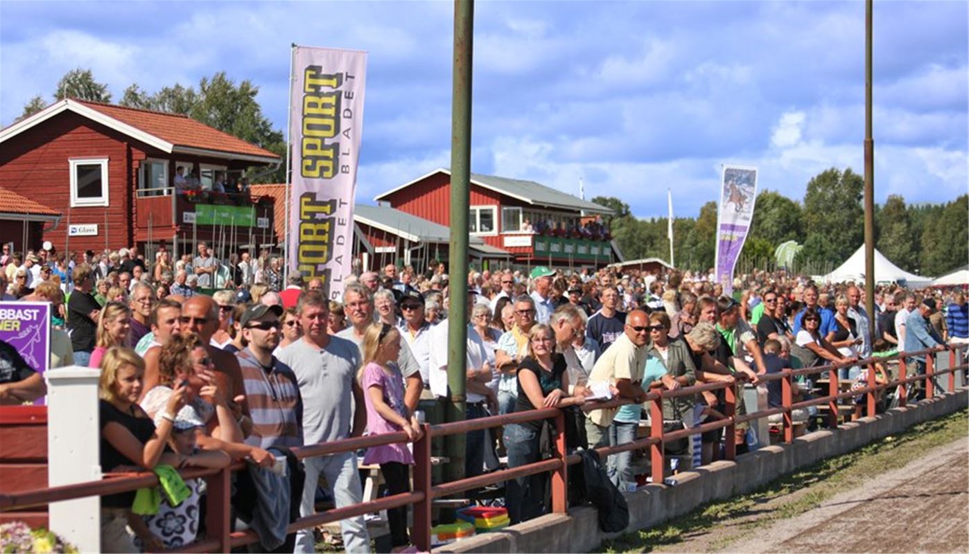 Public at horse race.