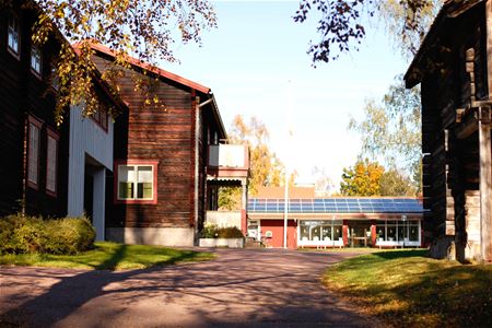 Byggnader som solen skiner på.