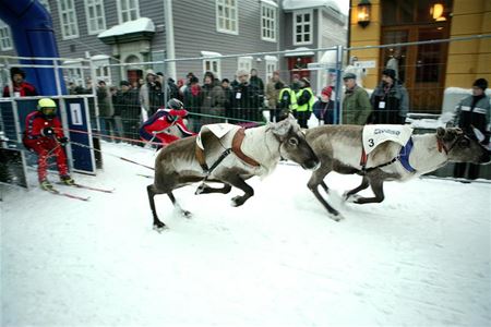 Reinkappkjøring