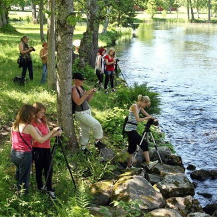 Fotokurs i Färnebofjärdens nationalpark