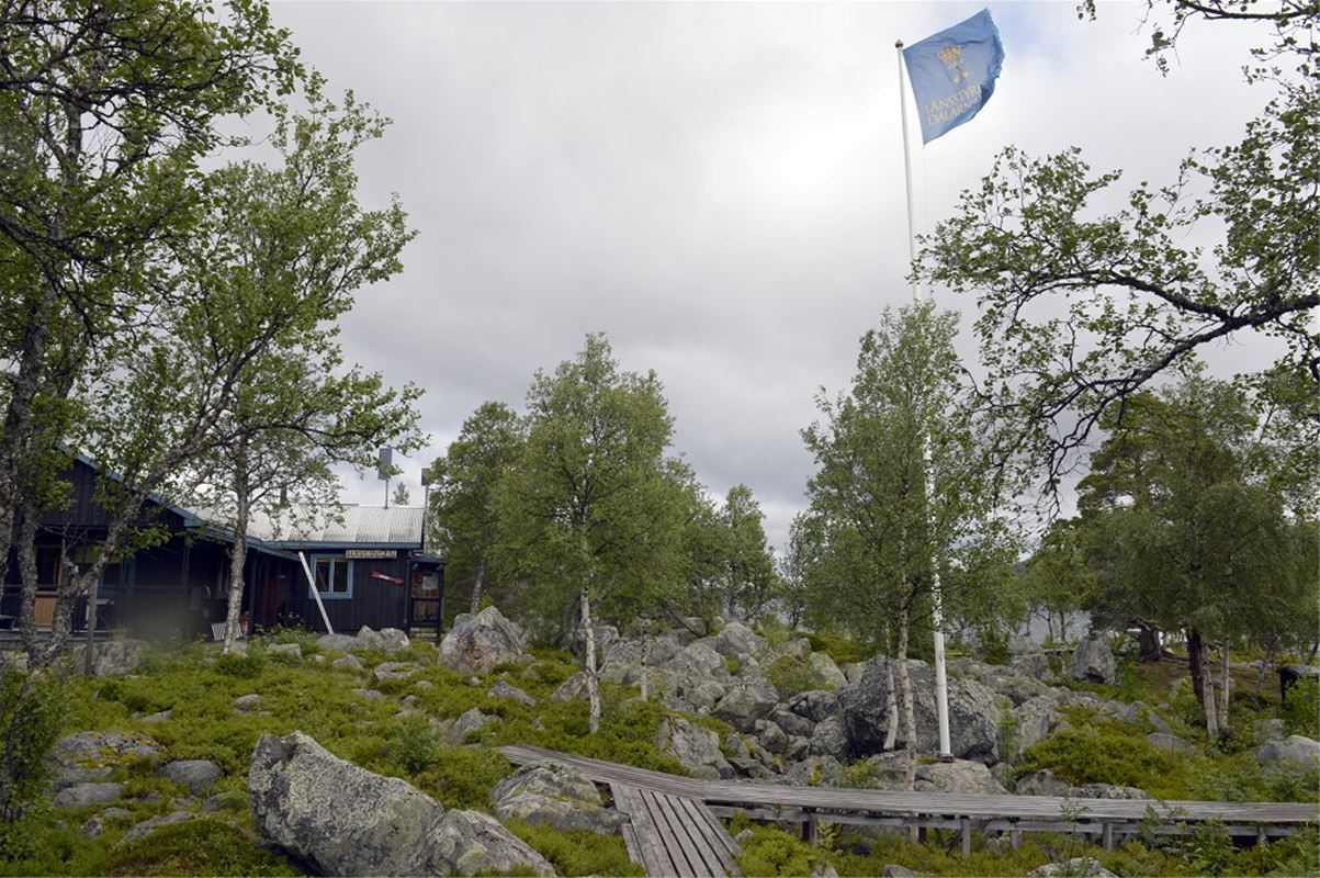 The cottages Hävlingestugorna during summer.