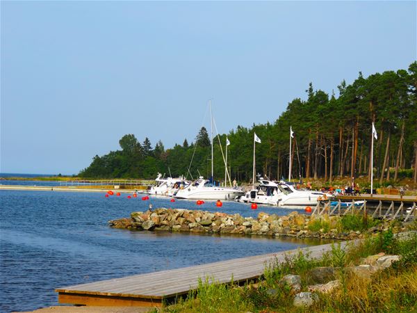 Furuviks Havscamping & gästhamn 