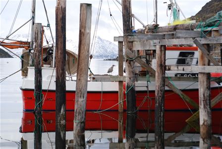 Fishing boat