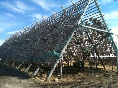 Drying fish