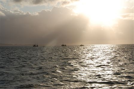 Fishing boats out at sea