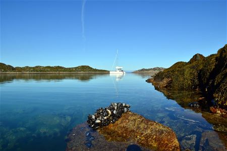 View from shore out to sailboat