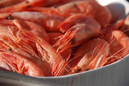 Bowl of shrimp