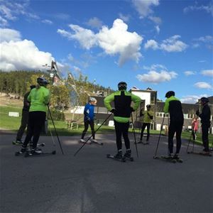 Several persons on roller skis.
