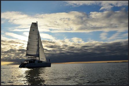 Sailboat