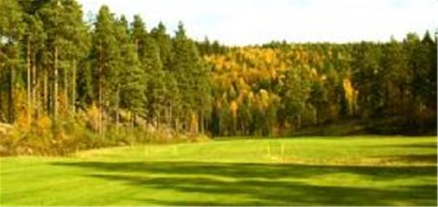 Golf course with coniferous forest at the edge.