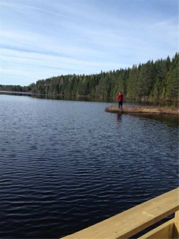  Guy fishing in the lake. 