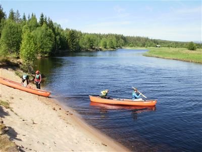Two people are paddling a canoe on the river and two are going to push a canoe out into the river.