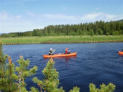 Two people in a canoe paddle on the river.