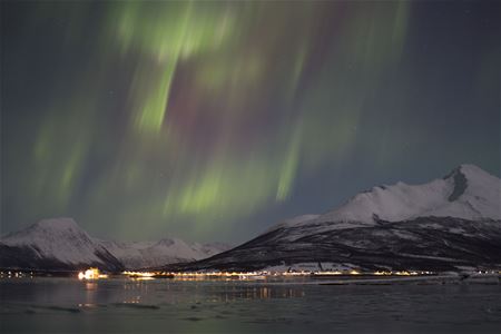 Nordlys over snødekte fjell