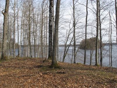 Grönvik naturreservat